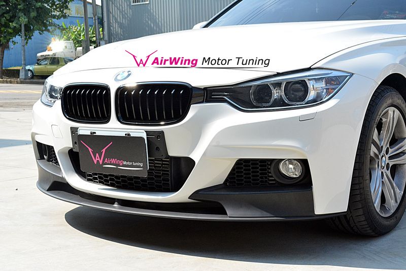 BMW F30 Performance Grille 01